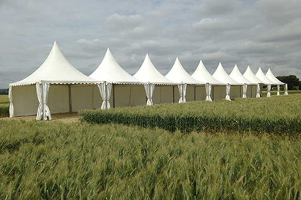 Montage Plancher pour Tente Silhouette, Château de Pennautier